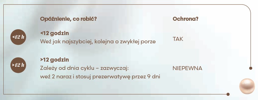 obraz4.jpg