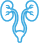 ikonka